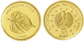 Goldmünzen der Bundesrepublik Deutschland Euro Gedenkmünzen, ab 2002
20 Euro Deutscher Wald 2015 A. Linde. 1/8 Unze Feingold. Mit Zertifikat.
Stempe...