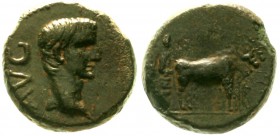 Römische Münzen Kaiserzeit Augustus 27 v. Chr. bis 14 n. Chr
AE-Semis 15 mm für Philippi/Makedonien. Barh. Kopf r./Priester mit Ochsengespann r.
vor...