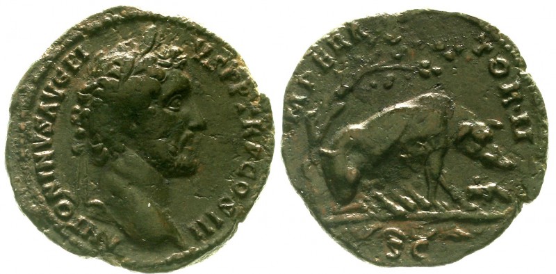 Römische Münzen Kaiserzeit Antoninus Pius, 138-161
As 142/144. Belorb. Brb. r./...