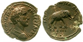 Römische Münzen Kaiserzeit Antoninus Pius, 138-161
As 148/149. MVNIFICENTIA AVG COS IIII SC. Elefant r.
Schrötlingsfehler und Korrosion im Randberei...