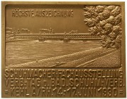 Altdeutsche Münzen und Medaillen Baden Medaillen
Vergold., eins. Silberplakette 1930. Schuhmacher Fachausst. u. Verb.-Tag d. Bad. Schuhmacher-Verb. i...