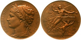 Medaillen Ausstellungen Frankreich
Bronze-Prämienmedaille 1878 v. J.C. Chaplain. Weltausstellung in Paris, an Fortuné Timmermans. Rand: BRONZE, Biene...