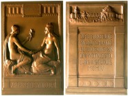 Medaillen Ausstellungen USA
Bronzeguss-Verdienstplakette 1904 nach Entwurf v. Peter Breuer (Bildgießerei Berlin) für Hermann Billing u.d. Teilnahme D...