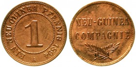 Kolonien und Nebengebiete Neuguinea Neuguinea Compagnie
1 Neuguinea-Pfennig 1894 A. vorzüglich