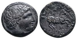 Greek Coins. 4th - 1st century B.C. AE
Reference:
Condition: Very Fine

W :5.7 gr
H :18.5 mm