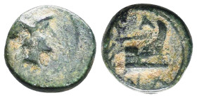 Greek Coins. 4th - 1st century B.C. AE
Reference:
Condition: Very Fine

W :1.8 gr
H :12.3 mm