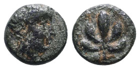 Greek Coins. 4th - 1st century B.C. AE
Reference:
Condition: Very Fine

W :0.9 gr
H :9.2 mm