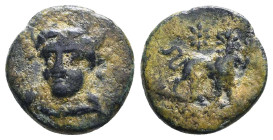 Greek Coins. 4th - 1st century B.C. AE
Reference:
Condition: Very Fine

W :1.9 gr
H :13.6 mm