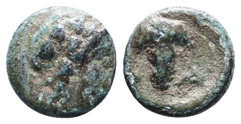 Greek Coins. 4th - 1st century B.C. AE
Reference:
Condition: Very Fine

W :1...