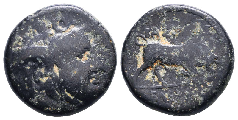 Greek Coins. 4th - 1st century B.C. AE
Reference:
Condition: Very Fine

W :7...