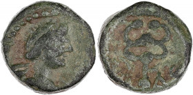 GAULE - CELTIC
Massilia - Marseille. Petit bronze AE12 ND (après 49 av. J.-C.), Marseille.
LT.2051 v. - Brenot cf. 258 - MHM cf.75 ; Bronze - 2,71 g -...