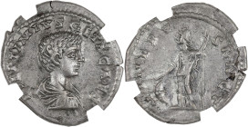 EMPIRE ROMAIN - ROMAN
Geta (198-212). Denier 206-207, Rome.
RIC.34b ; Argent - 2,98 g - 16 mm - 11 h
GENI XF+ (ACGVEXK5TO). 
Belle patine grise. Presq...