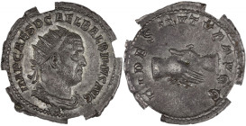 EMPIRE ROMAIN - ROMAN
Balbin (238). Antoninien 238, Rome.
RIC.11 ; Argent - 4,21 g - 21 mm - 6 h
GENI AU+ (AC7YO3XBGS). 
De bon centrage et belle pati...