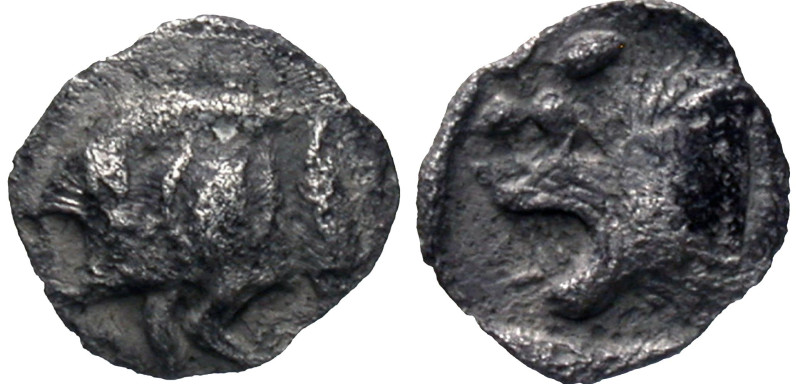 Mysia, Kyzikos. Ca. 500-450 B.C. AR hemiobol (8 mm, 0.35 g).