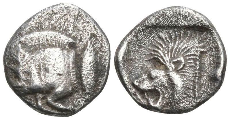 Obol AR
Mysia, Kyzikos, 5th century BC
10 mm, 0,74 g