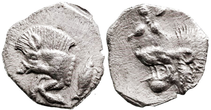 Hemiobol AR
Mysia, Kyzikos, 5th century BC
9 mm, 0,29 g