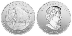 1 Oz
Canada, Wildlife, Bizon
31,10 g