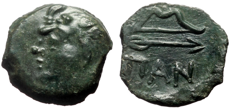 Cimmerian Bosporos, Pantikapaion AE (Bronze, 2.64g, 15mm) ca 304/3-250 BC. 
Obv:...