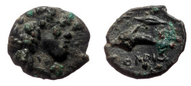 Skythia, Olbia AE (Bronze, 0.58g, 10mm) ca 350-300 BC. 
Obv: Laureate head of Apollo to right 
Rev: Dolphin to left; ΟΛΒΙΟ below, grain ear above. 
Re...