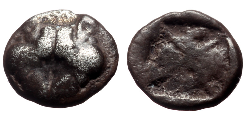 Lesbos, Unattributed early mint AR (Hemidrachm, 1.63g, 12mm) 5th century BC. 
Ob...