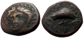 Aeolis, Gryneion AE (Bronze, 1.39g, 12mm) ca 4th century BC
Obv: Laureate head of Apollo facing slightly left.
Rev: ΓΥΡΝΗ, Mussel shell.
Ref: SNG Ashm...