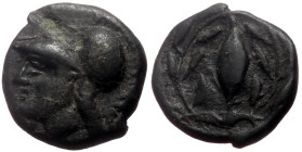 Aeolis, Elaia AE (Bronze, 1.36g, 11mm) ca 340-300 BC. 
Obv: Helmeted head of Athena to left 
Rev: Barley-grain, Ε-Λ across fields; all within wreath. ...