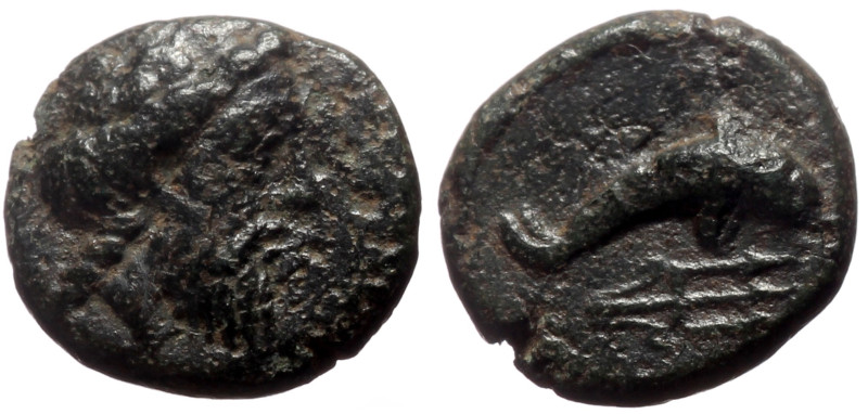 Caria, Nysiros AE (Bronze, 1.26g, 11mm) Mid 4th-late 3rd century BC.
Obv: Laurea...