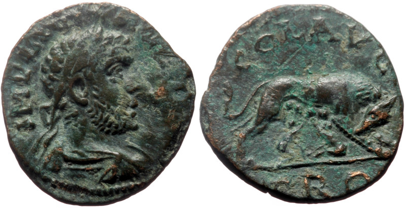 Troas, Alexandria Troas AE (Bronze, 4.82g, 20mm) Gallienus (253-268) 
Obv: IMP L...