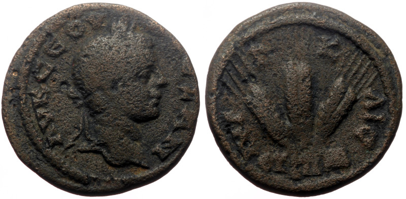 Cappadocia, Caesarea AE (Bronze, 5.94g, 20mm) Severus Alexander (222-238) Issue:...