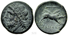 APULIA. Arpi. Ae (Circa 325-275 BC)