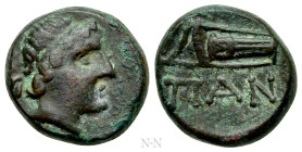 CIMMERIAN BOSPOROS. Pantikapaion. Ae (Circa 200-150 BC)