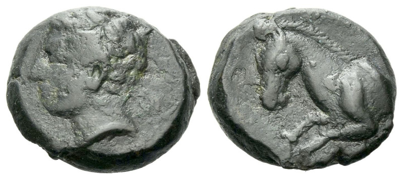 Sicily, Panormus as Ziz Bronze circa 336-330, Æ 13.00 mm., 3.90 g.
Male head l....