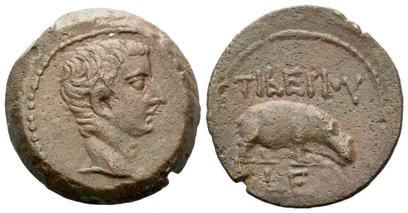 Egypt, Alexandria Tiberius, 14-37 Obol circa 18-19 (year 5), Æ 20.10 mm., 6.59 g...