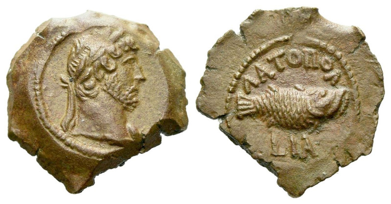 Egypt, Alexandria Hadrian, 117-138 Dichalkon Latopolite circa 126-127 (year 11),...