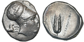 LUCANIE, METAPONTE, AR distatère, vers 330 av. J.-C. D/ T. de Leucippe barbu à d., coiffé du casque corinthien, décoré d'un quadrige conduit par Niké ...