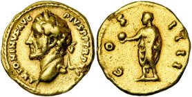 ANTONIN le Pieux (138-161), AV aureus, 151-152, Rome. D/ ANTONINVS AVG PIVS P P TR P XV T. l. à g. R/ COS IIII L'empereur en toge, deb. à g., ten. un ...