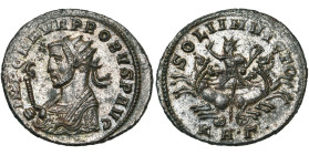 PROBUS (276-282), bill. antoninien, s.d., Serdica. D/ IMP C M AVR PROBVS AVG B. r. à g., vêtu du manteau impérial, ten. un sceptre surmonté d'un aigle...