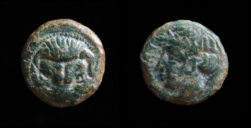BRUTTIUM, Rhegion, c. 415-387 BCE, AE12. 1.7g, 11.6mm.
Obv: Lion's scalp mask fa...