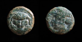 BRUTTIUM, Rhegion, c. 415-387 BCE, AE12. 1.7g, 11.6mm.
Obv: Lion's scalp mask facing. 
Rev: PHΓINΩ (retrograde), laureate head of Apollo left.
SNG ANS...