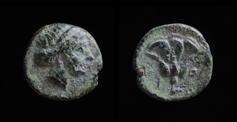 CARIA, Rhodes, 350-300 BCE, AE Chalkous. 10mm
Obv: Head of nymph Rhodos right.
R...
