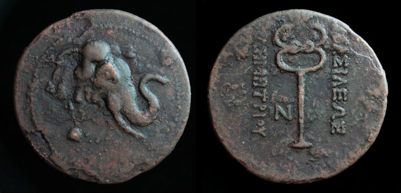 GRECO-BAKTRIAN KINGDOM, Demetrios I Aniketos, c. 200-185 BCE, Æ trichalkon. 12.1...