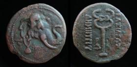 GRECO-BAKTRIAN KINGDOM, Demetrios I Aniketos, c. 200-185 BCE, Æ trichalkon. 11.35g, 28mm.
Obv: Head of elephant right, wearing bell around neck.
Rev: ...