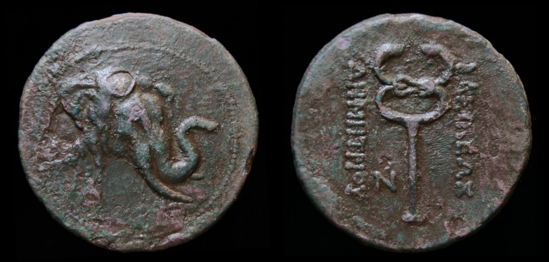 GRECO-BAKTRIAN KINGDOM, Demetrios I Aniketos, circa 200-185 BCE, Æ trichalkon. 1...
