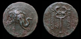 GRECO-BAKTRIAN KINGDOM, Demetrios I Aniketos, circa 200-185 BCE, Æ trichalkon. 12.10g, 29.5mm.
Obv: Head of elephant right, wearing bell around neck
R...