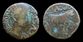 HISPANIA CITERIOR, Celsa: Augustus (27 BCE-14 CE), AE As, L. Baggius and Mn. Flavius Festus as duoviri. 10.92g, 27mm.
Obv: AVGVSTVS DIVI F, laureate ...