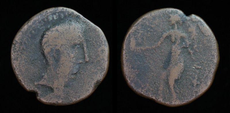 HISPANIA ULTERIOR, Irippo: Augustus (27 BCE-14 CE), AE As, 6.05g, 29.5mm.
Obv: ...