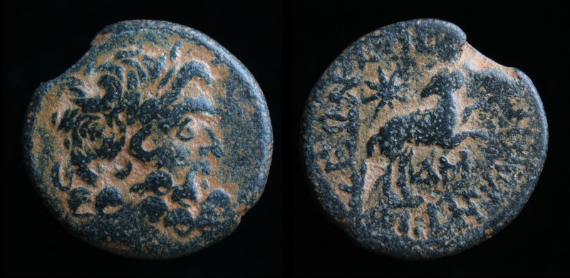 SELEUCIS AND PIERIA, Antioch ad Orontem AE21, issued 13-14 CE. 6.00g, 21mm.
Obv:...