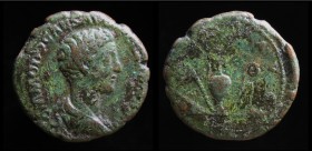 Commodus (177-192), AE As. Rome, 10.50g, 26mm.
Obv: COMMODO CAES AVG FIL GERM SARM; Bare-headed and draped bust right.
Rev: PIETAS AVG; Priestly imple...
