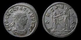 Tacitus (275-276 AD), antoninianus. Cyzicus, 4.27g, 22mm. Fully silvered.
Obv: IMP C M CL TACITVS AVG, radiate, draped and cuirassed bust right.
Rev: ...