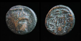 BOEOTIA, Thespiai, circa 210 BCE, AE15. 3.98g, 15.4mm. 
Obv: Head of Arsinoe III, with modius and veil, right. 
Rev: ΘEΣΠIEΩN, lyre within laurel wrea...
